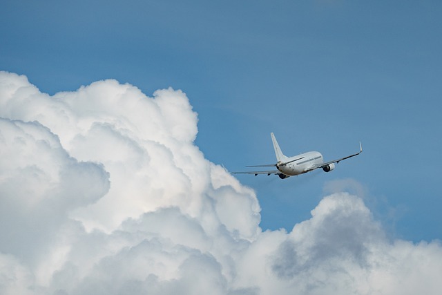 Flight